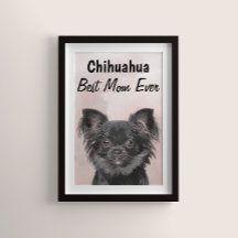 Chihuahua Best Mamma Poster