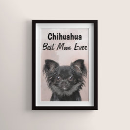 Chihuahua Best Mamma Poster