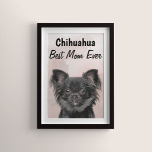 Chihuahua Best Mamma Poster
