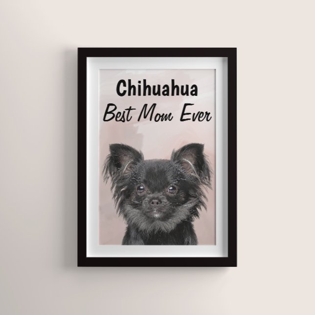Chihuahua Best Mamma Poster (Skapare uppladdad)