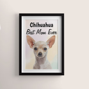 Chihuahua Best Mamma Poster