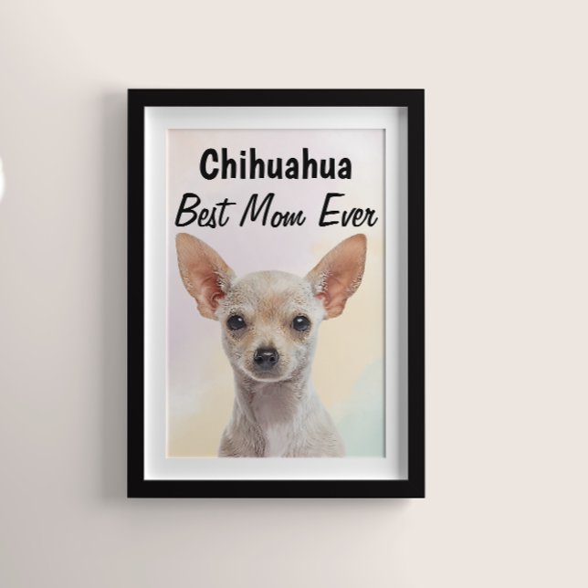 Chihuahua Best Mamma Poster (Skapare uppladdad)