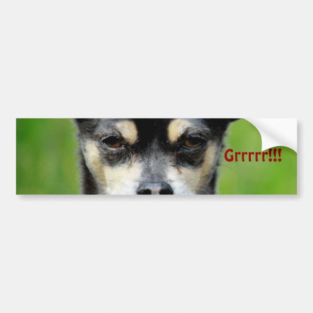 Chihuahua! Bildekal (Framsidan)