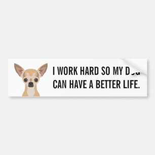Chihuahua Bildekal