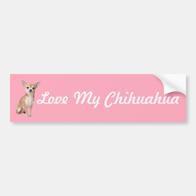 Chihuahua Bildekal (Framsidan)