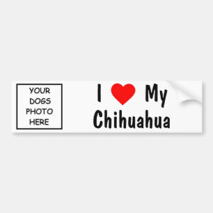 Chihuahua Bildekal