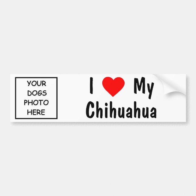 Chihuahua Bildekal (Framsidan)