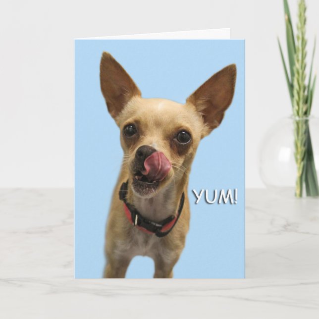 Chihuahua Birthday Card av Focus för en orsak Kort (Framsida)
