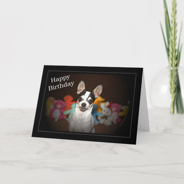 Chihuahua Birthday Card Kort (Framsida)