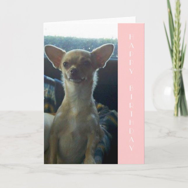 Chihuahua Birthday Card Kort (Framsida)