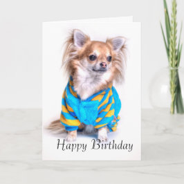 Chihuahua Birthday Card Kort