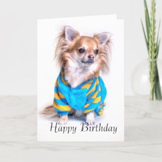 Chihuahua Birthday Card Kort