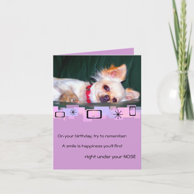 Chihuahua Birthday Greeting Card Kort (Framsida)