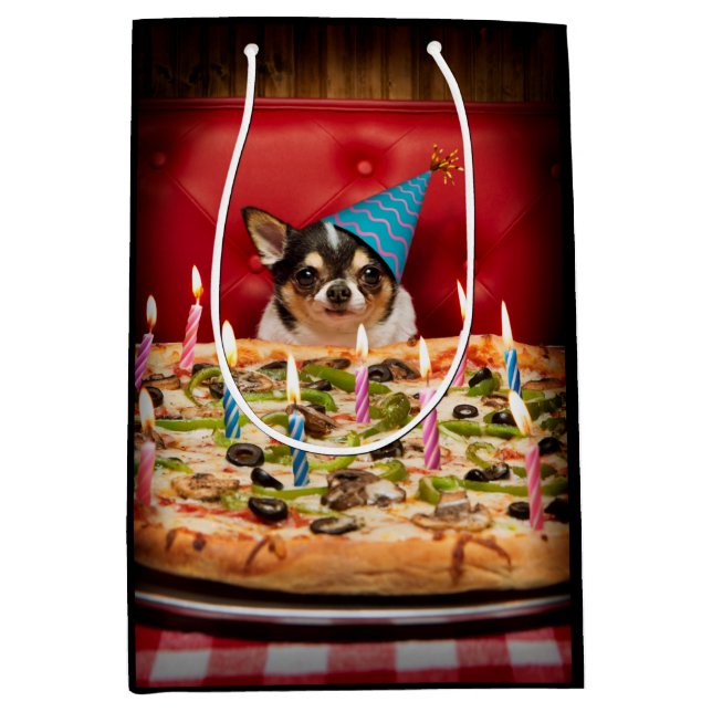 Chihuahua Birthday Pizza Paj (Framsidan)