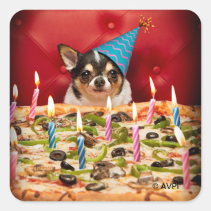 Chihuahua Birthday Pizza Paj Fyrkantigt Klistermärke