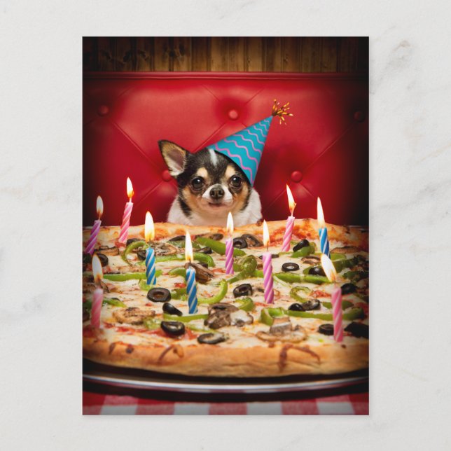 Chihuahua Birthday Pizza Paj Inbjudan Vykort (Framsida)