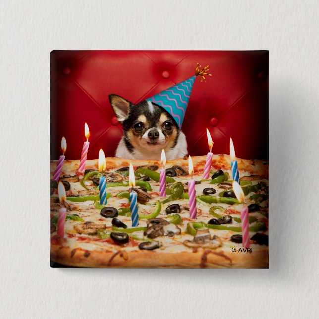 Chihuahua Birthday Pizza Paj Knapp (Framsida)