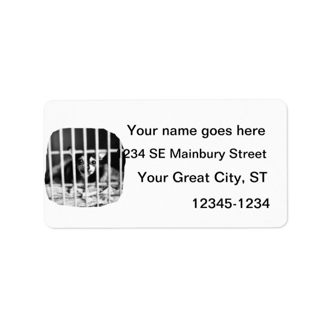 Chihuahua Black and White Behind-cage Pub Adressetikett (Framsidan)