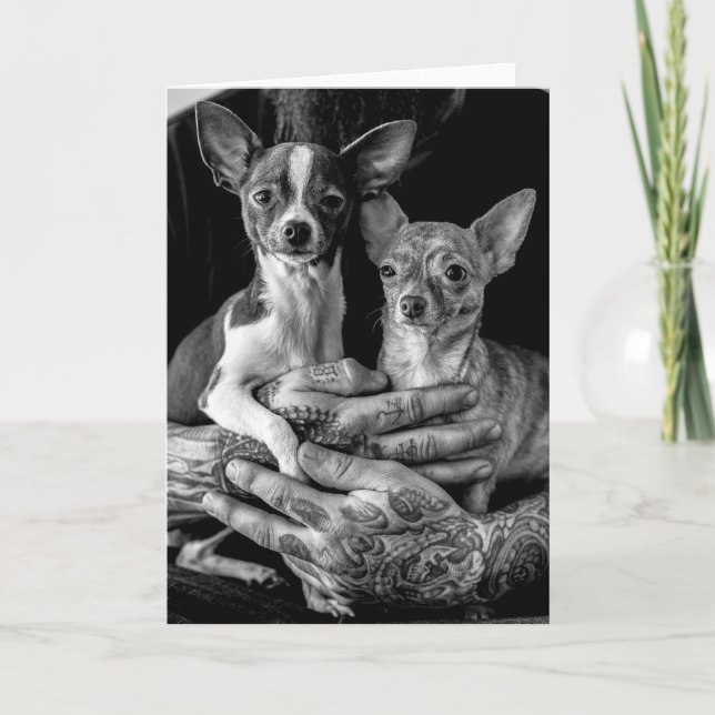 Chihuahua-budgar Kort (Framsida)