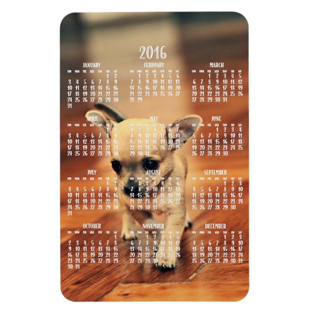 Chihuahua Calendar 2016 Photo Magnet 4x6 Large (Vertikal)
