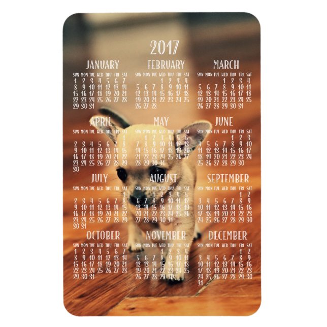 Chihuahua Calendar 2017 Photo Magnet 4x6 Large (Vertikal)