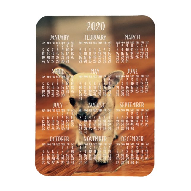 Chihuahua Calendar 2020 Photo Magnet 3x4 Small (Vertikal)