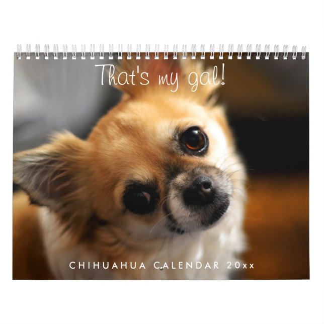 Chihuahua Calendar 2023 Det är min grej Kalender (Omslag)