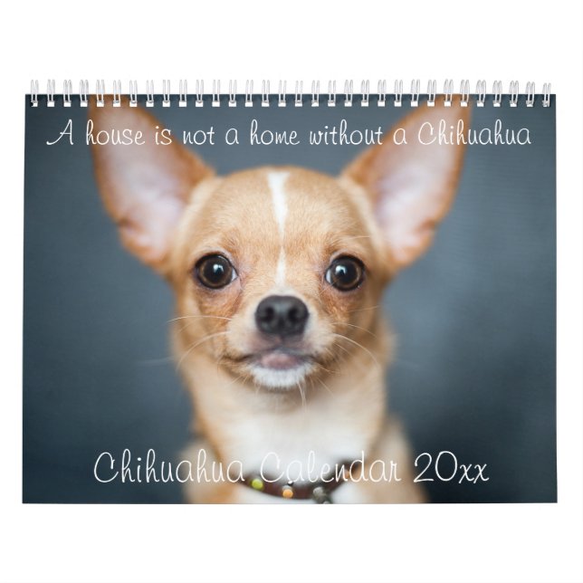 Chihuahua Calendar 2023 House är inte ett hemfoto Kalender (Omslag)