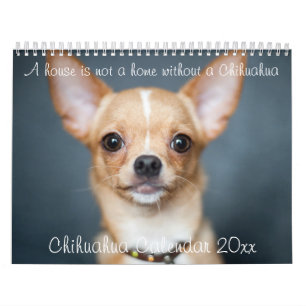 Chihuahua Calendar 2023 House är inte ett hemfoto Kalender