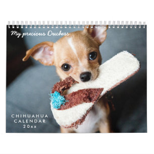 Chihuahua Calendar 2025 Your Anpassningsbar Photos Kalender