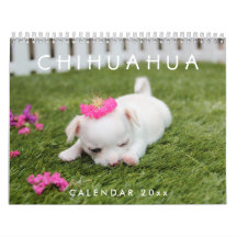 Chihuahua Calendar 2026 Add Your Photos