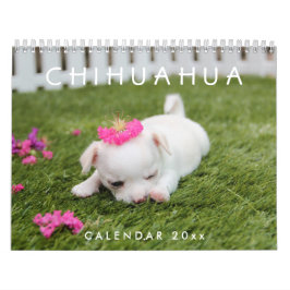 Chihuahua Calendar 2026 Add Your Photos Kalender