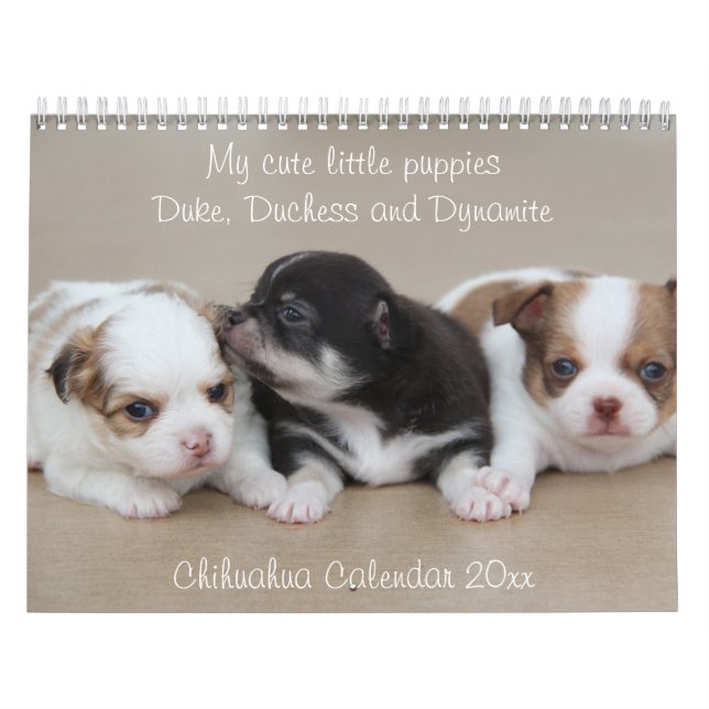 Chihuahua Calendar 2026 with Photos Kalender (Omslag)