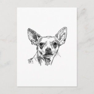 Chihuahua-Chiwawa Hundar Vykort