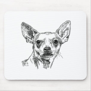 Chihuahua-Chiwawahundar Musmatta