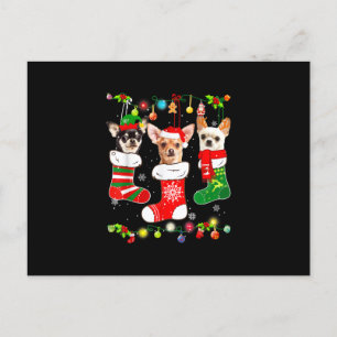 chihuahua christmas ljus gift julafton hund lov meddelande vykort