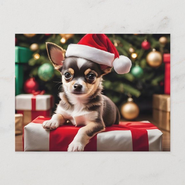 Chihuahua Christmas Puppy Helg Vykort (Framsida)