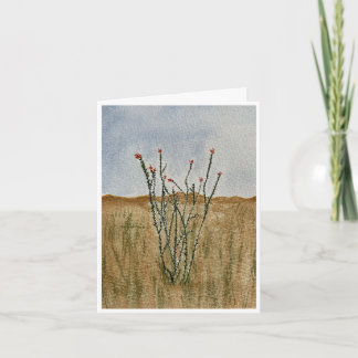 Chihuahua Desert Ocotillo Greeting Card Kort
