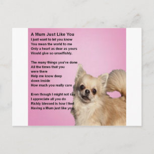 chihuahua Design - Morsa Dikt Vykort