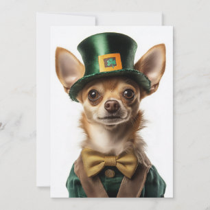 Chihuahua Dsed Leprechaun St. Patrick's Day Inbjudningar