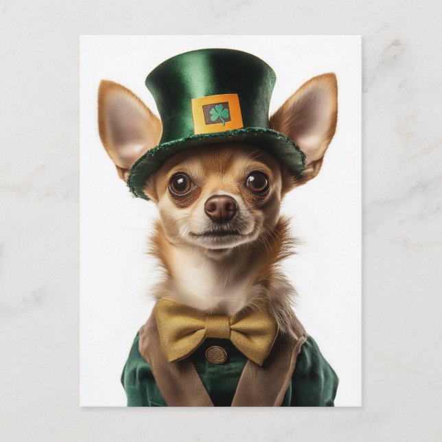 Chihuahua Dsed Leprechaun St. Patrick's Day Vykort (Framsida)