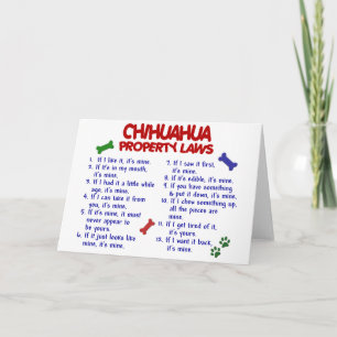CHIHUAHUA Egendom LAGSTIFTNING 2 Kort