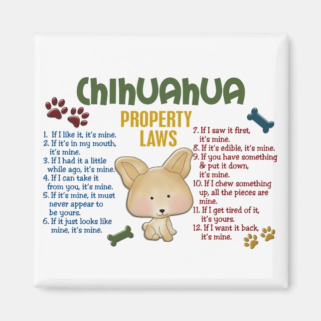Chihuahua Egendom Laws 4 Magnet (Framsidan)