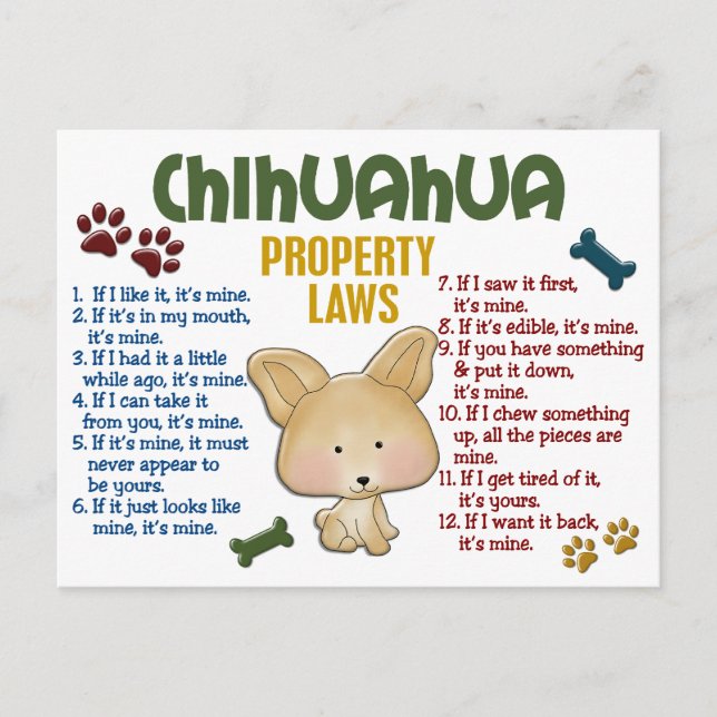 Chihuahua Egendom Laws 4 Vykort (Framsida)