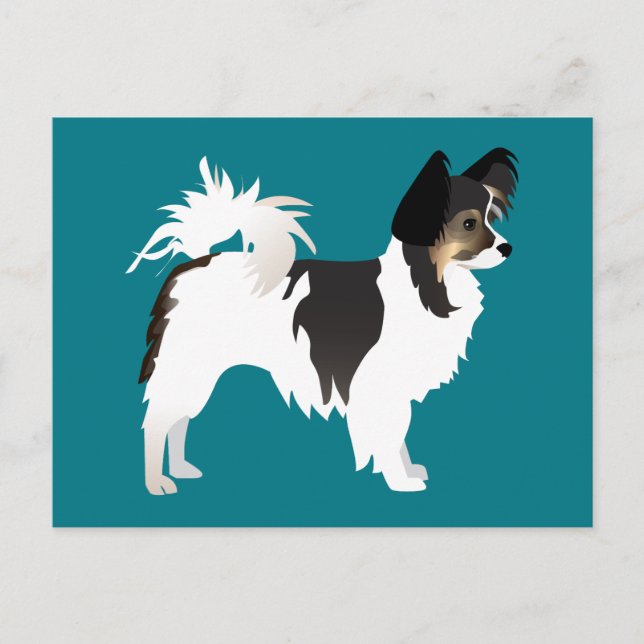 Chihuahua eller Papillon Basic Design med lång sma Vykort (Framsida)