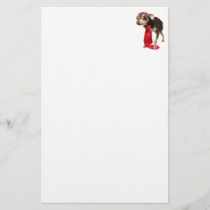 Chihuahua Executive Brevpapper