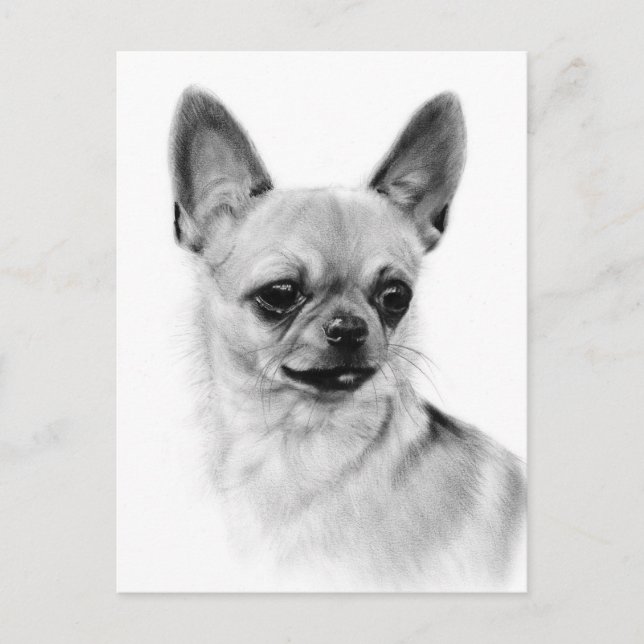 Chihuahua Expression Hand Pasigned Artwork Vykort (Framsida)