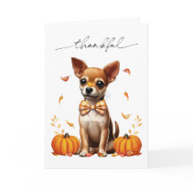 Chihuahua Fall Thankfull Thanksgiving Greeting Car