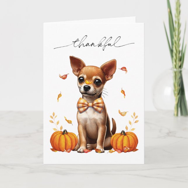 Chihuahua Fall Thankfull Thanksgiving Greeting Car Kort (Framsida)