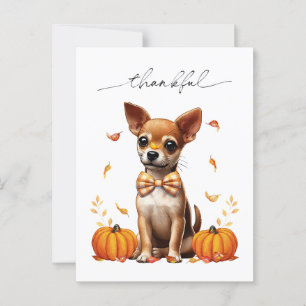 Chihuahua Fall Thankfull Thanksgiving Greeting Car Vykort
